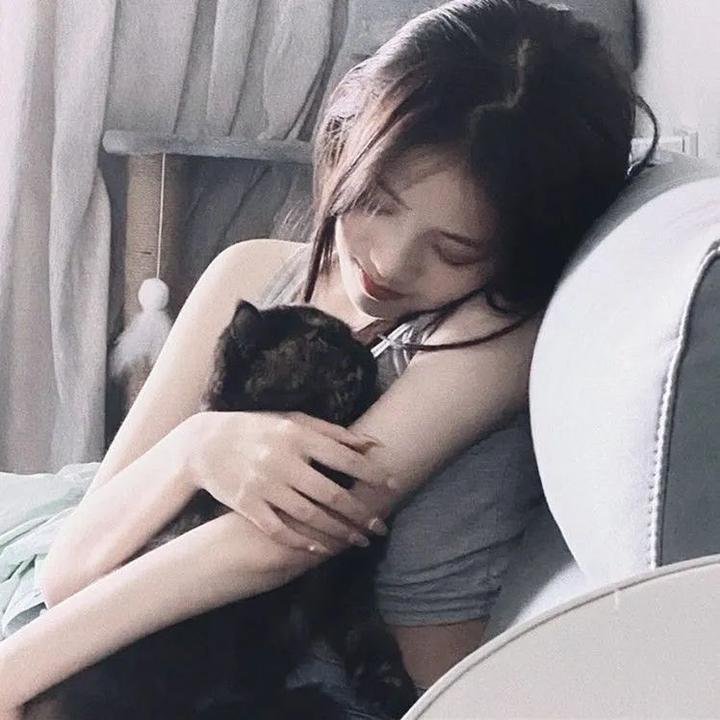 御用闲人粤语 在线观看